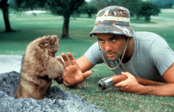 Bill-Murray-in-Caddyshack-1980
